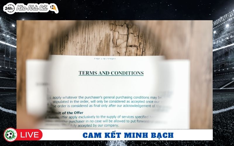 Cam kết minh bạch và trách nhiệm