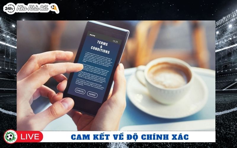 Cam kết về độ chính xác và giới hạn trách nhiệm