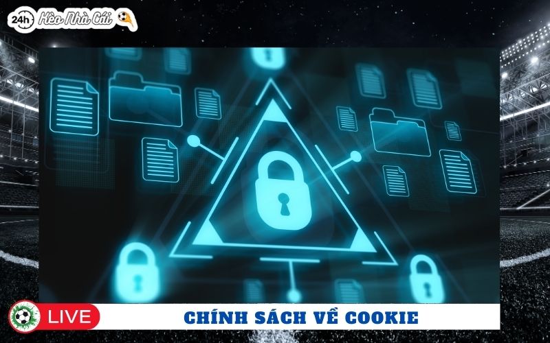 Chính sách cookie và trải nghiệm người dùng