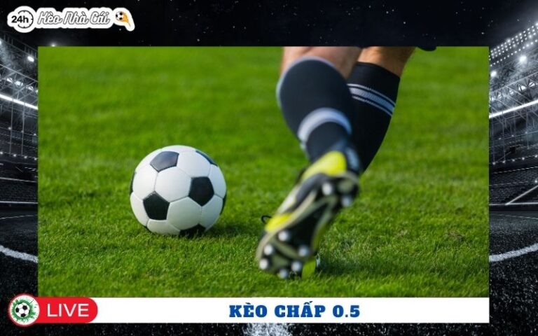 Keo Chap 0 5 Nen Danh Cua Nao De Khong Bi Cuon Theo Nha Cai