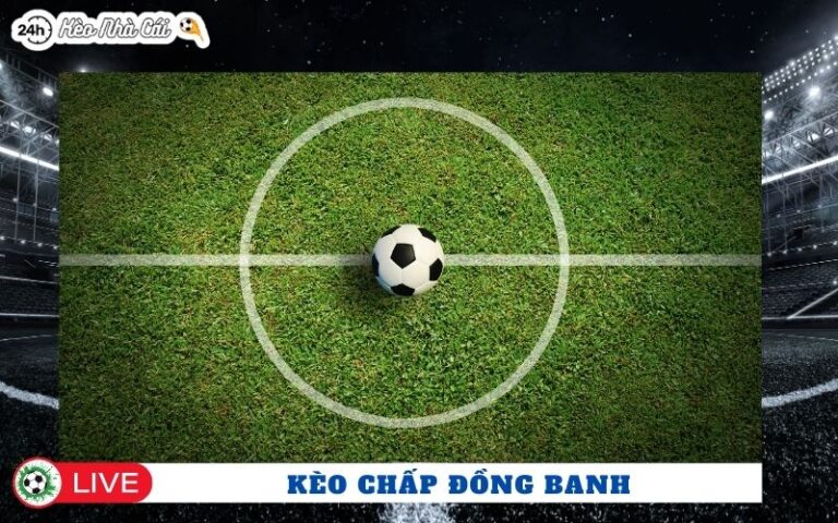 Keo Chap Dong Banh La Gi Va Vi Sao Bet Thu Uu Tien Loai Keo Nay