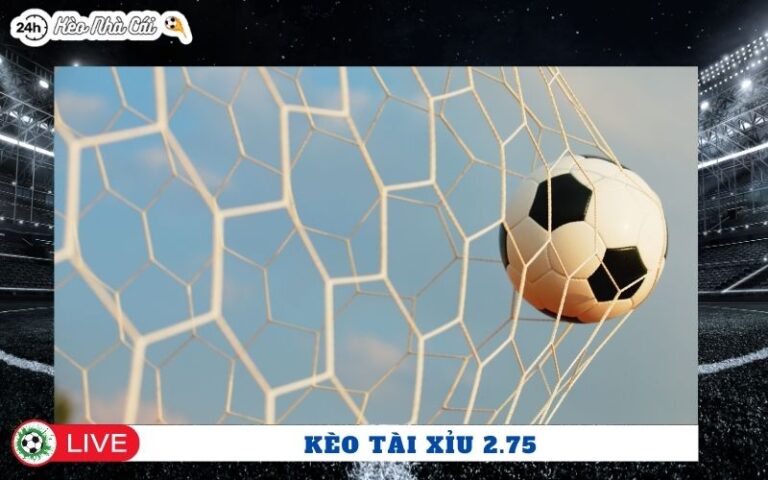 Kèo Tài Xỉu 2.75 Nên Đánh Tài Hay Xỉu Dễ Ăn Hơn?