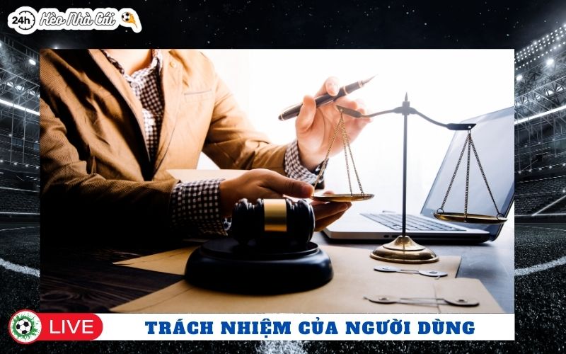 Trách nhiệm của người dùng khi tham khảo kèo nhà cái